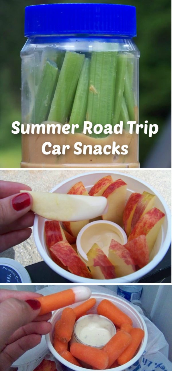 Summer Road Trip Car Snacks