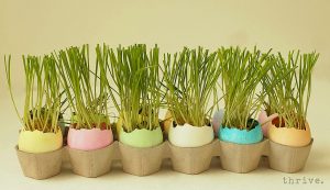 Easter Egg Wheat Grass Centerpiece from THRIVE