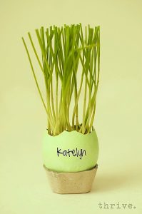 Easter Egg Wheat Grass Centerpiece from THRIVE.4