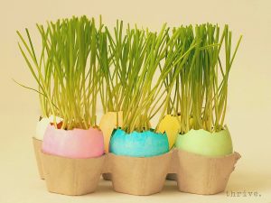 Easter Egg Wheat Grass Centerpiece from THRIVE